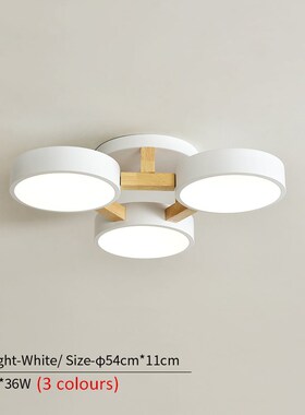 220V LED Ceiling Lights With Grey/Green/White Metal Lampshad