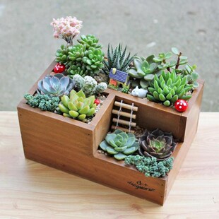 Wooden Flower Pots for Succulent Plants Nursery Garden Plant