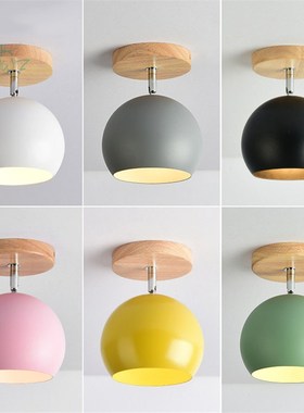 Modern Colour Led Ceiling Lights with Metal Lampshade for Co