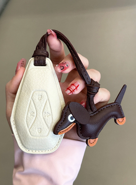 适用极狐钥匙套阿尔法S5考拉T5新能源款汽车ARCFOX全包24壳扣北0