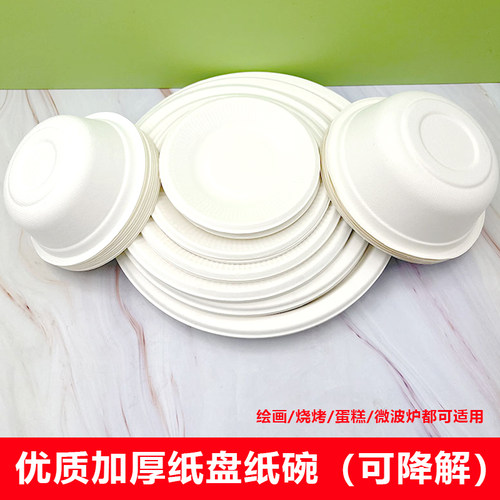 diy一次性纸圆白色盘子儿童手工