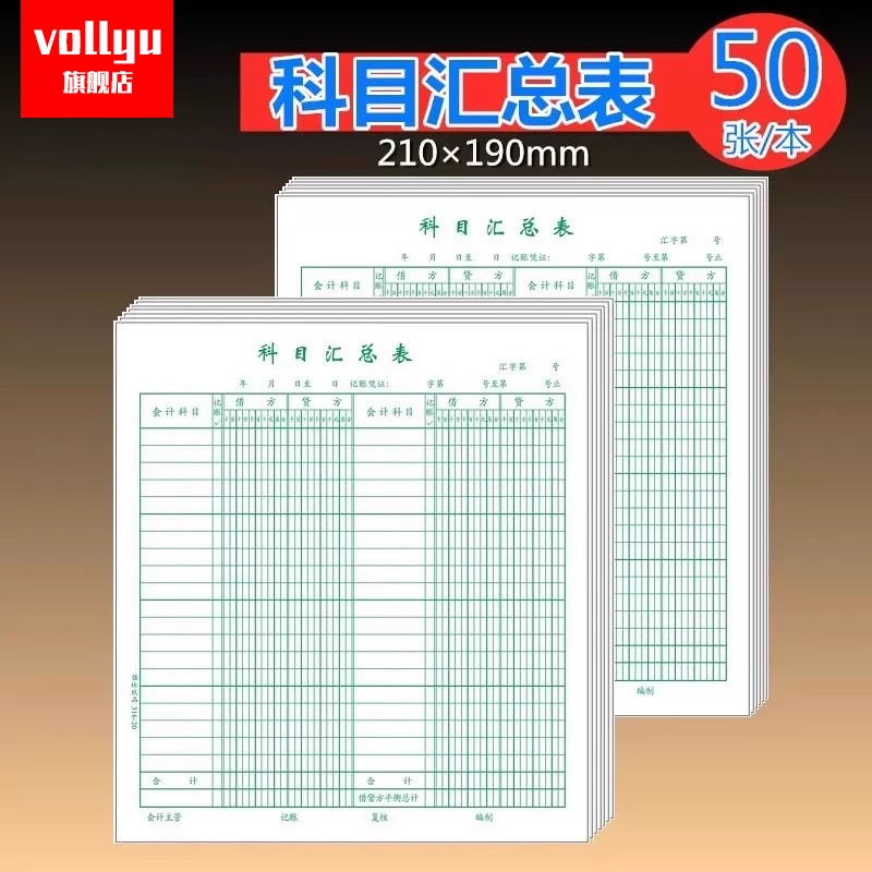 科目汇总表财务记账本登月