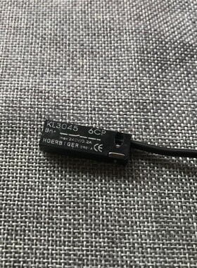 rodless cylinder   magnetic switch  KL3045  (a cylinder use