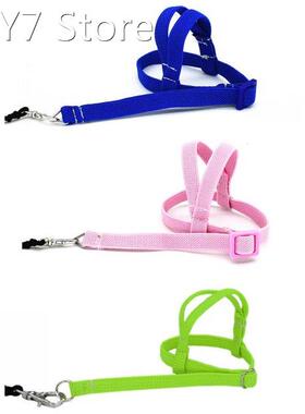 Pet Bird Parrot Flying Rope Harness And Leash Elastic Bird W