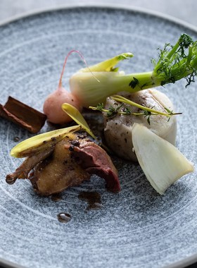 Ceramic Dish, Fruit Bowl, Breakfast Tray, Face Plate, Soup P