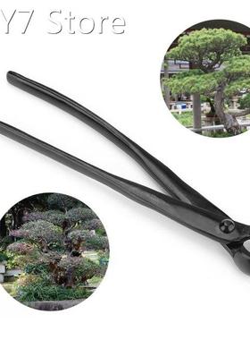 Garden Branch Cutter Bonsai Tool Edge Beginner Scissors Conc
