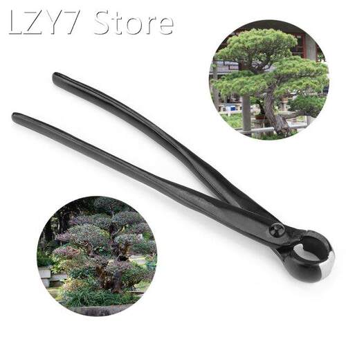 Garden Branch Cutter Bonsai Tool Edge Beginner Scissors Conc