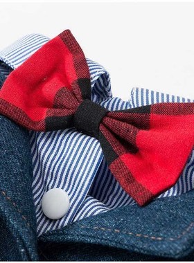 Dog clothes qiu dong garment teddy commanding, British wind