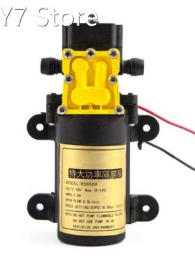 R9UC 8L/min Large Flow Rate Agricultural Electric Water Pump