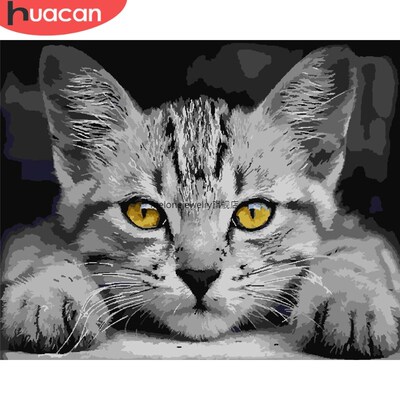 HACAN Diy Cat Painting By Number Drawing On Canvas HandPaint