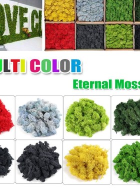 Natural Norweian Reindeer Moss Preserved Dried Craft Flower