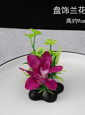 Hotel Restaurant cold dishes sashimi dishes decoration sushi