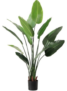 artificial plants monstera banana green plant indoor skybird