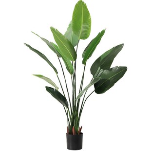 artificial plants monstera banana green plant indoor skybird