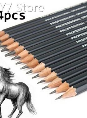 14pcs Professional Sketch And Drawing Writing Pencil Station