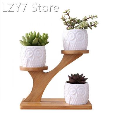 Cute Owl Pot Succulent Cactus Planter Flowerpot Set With Bam