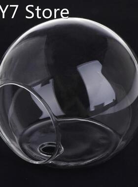 Wall Hang Glass Flower Planter Vase Terrarium Container Home