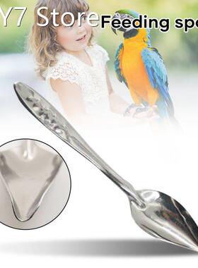 Stainless Steel Birds Feeder Spoons Parrots Feeding Scoops H