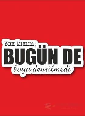 Summer Girl Laptop and Phone Sticker-Decal max.8cm