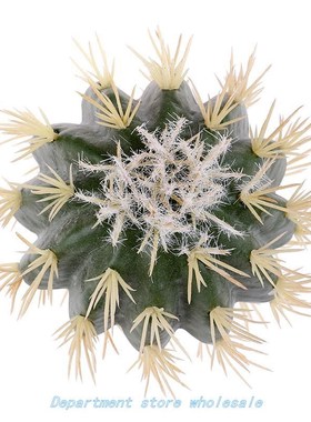 Hot sale 1pc 8.5cm x 8.5cm x 9cm EVA Cactus Car Roof Decorat