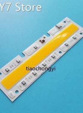 220V 100W white 160x45mm LED Floodlight COB Chip, Integrated