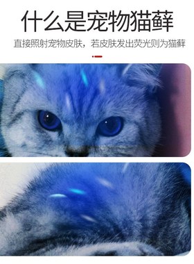 Wood's lamp cat moss lamp pet cat fungus flashlight ultravio