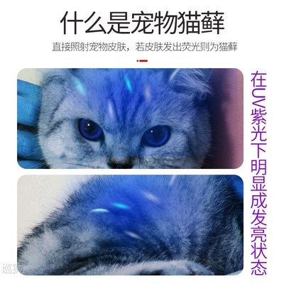 Wood's lamp cat moss lamp pet cat fungus flashlight ultravio