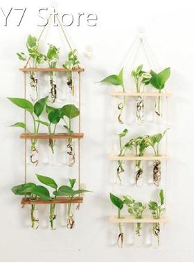 Test Tubes Glass Planter Wall Hanging Terrarium Container Fl
