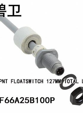 RSF66A25B100P DL PNT FLOATSWITCH 127MM TOTAL L