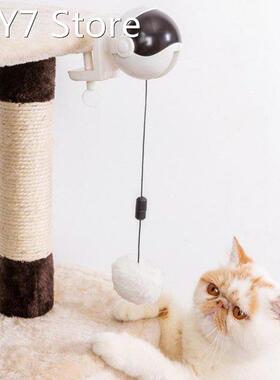 Electronic Motion Pet Fun Toys Interactive Funny Electric Ca