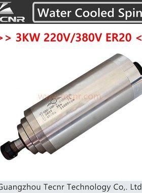 ECNR 4 bearing 3KW water cooled spindle motor 220V 380V diam