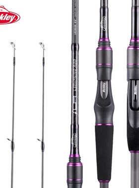 2020  LR Rod Two Tips Lure Fishing Rod Long Casting Pole UL