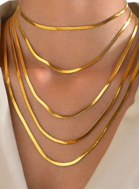 欧美式简约扁刀片蛇骨项链中性颈链锁骨链肯豆高级感素链