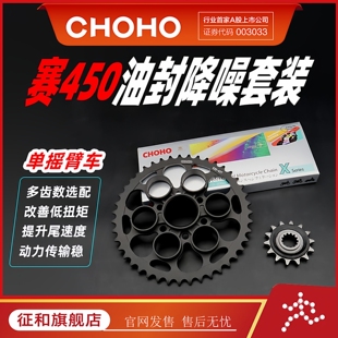征和旗舰店适用摩托车钱江 赛450单摇臂油封链条链轮牙盘改装套装