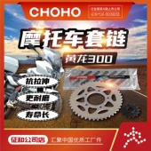 适用摩托车贝BJ300龙卷风252R 302R 赛350套链链轮征和油封链条