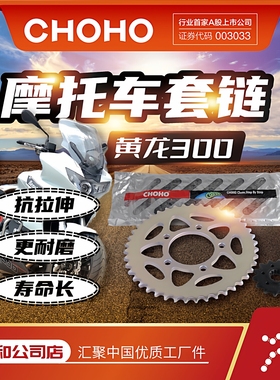 适用摩托车贝BJ300龙卷风252R 302R 赛350套链链轮征和油封链条