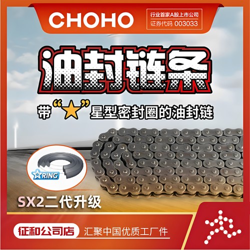 征和油封链条SX2VZ大排量车用