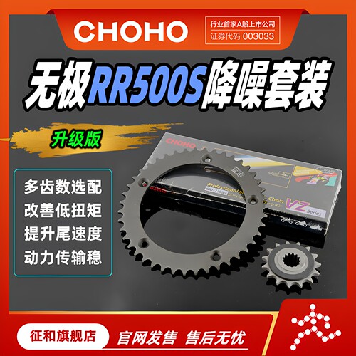 征和油封链条链轮无极RR500S