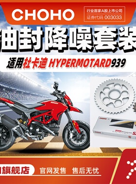 适用于摩托杜卡迪DUCATI骇客Hypermotard939链轮征和静音油封链条