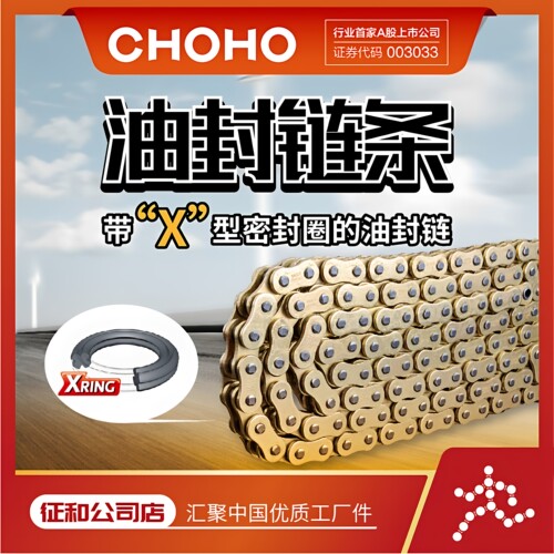 征和旗舰店HX摩托车油封链条套链