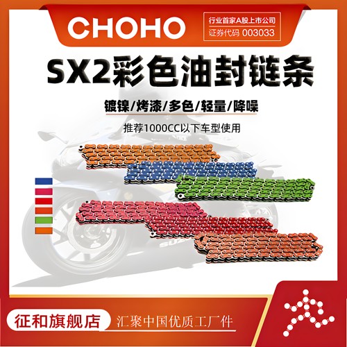 征和链条摩托车SX2彩色油封链条