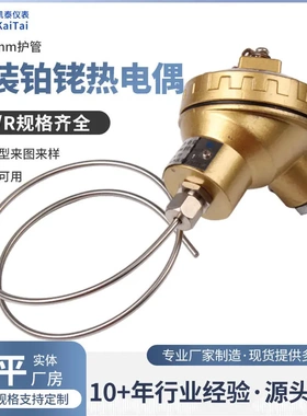 S型铠装铂铑热电偶WRPK-131  S型B型R型尺寸齐全耐高温国标偶丝