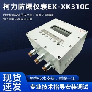 柯力EX 化学医药危险场所防爆称重仪表 XK3101C仪表仪器防爆