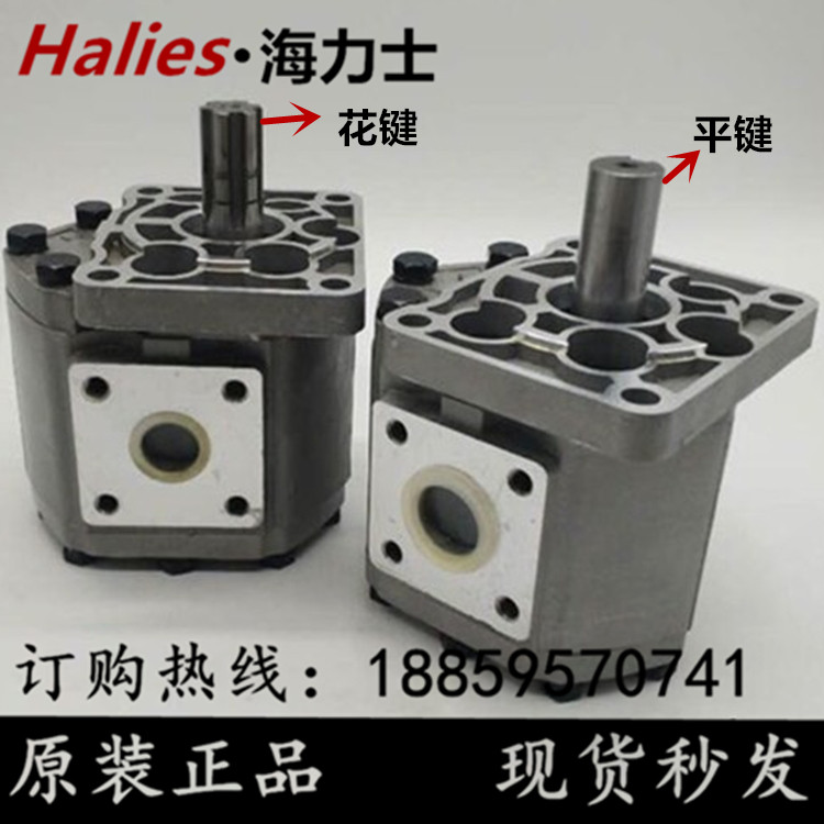 齿轮泵CBN CBT-F520 G525 G532 G540 G550 G563 G580液压油泵BFPL_虎窝淘