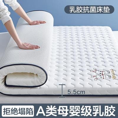 Mattress soft mattress Single bed mattress dormitory student