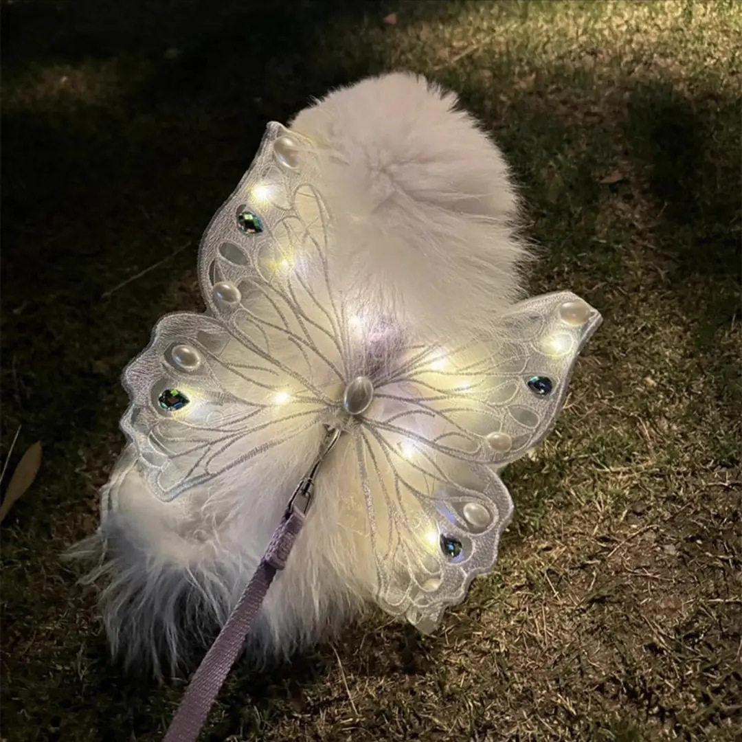 可爱狗狗翅膀发光蝴蝶背