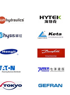 液压螺纹插装阀SV08-20电磁阀DHF08-220二位二通常闭LSV-08-2NCP