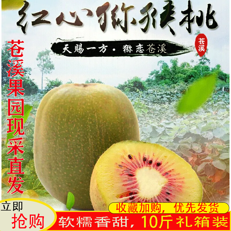 奇异果四川苍溪红心猕猴桃果园直采苍溪红心果整箱约10斤