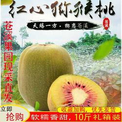 奇异果四川苍溪红心猕猴桃果园直采苍溪红心果整箱约10斤