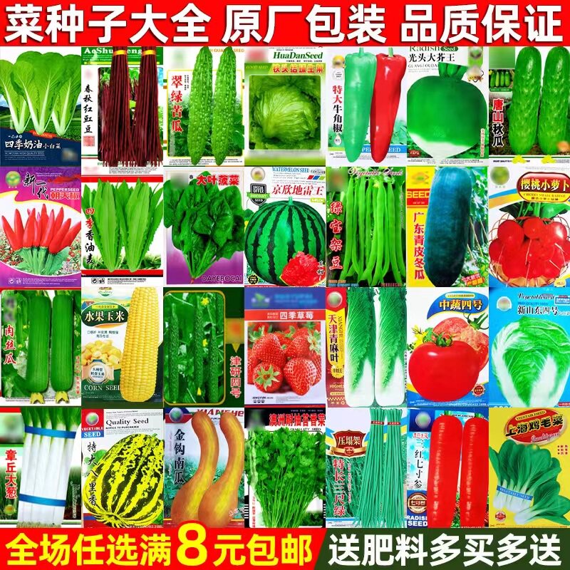 蔬菜种子厂家直销买4包邮送肥料